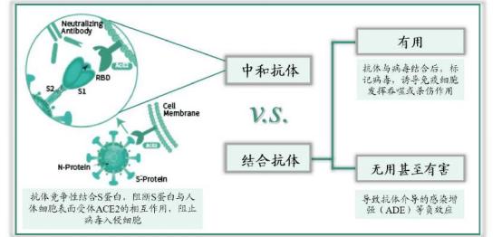 仁濟科普 | 接種新冠疫苗後,該怎麼測抗體?