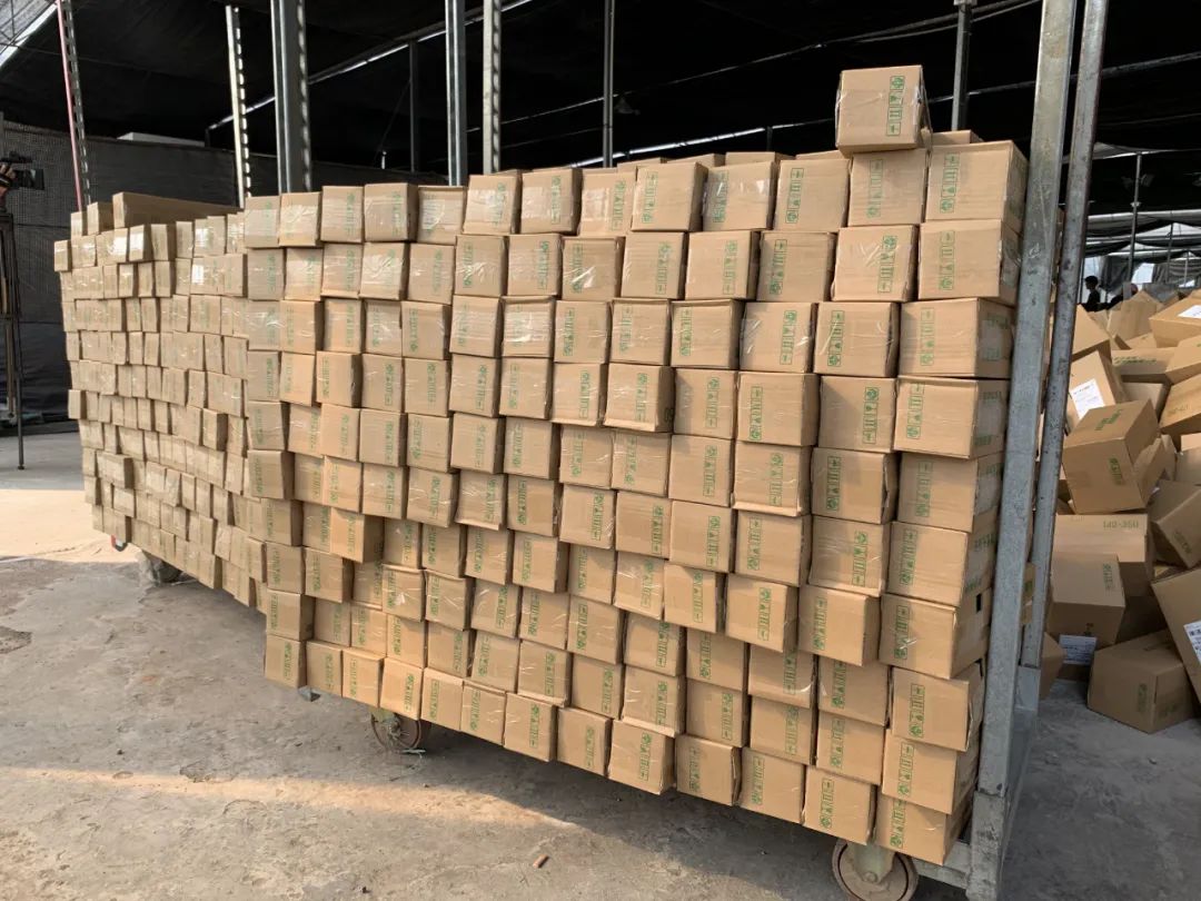 日均发货5000单省内2天可达里水蝴蝶兰触网商家出货忙