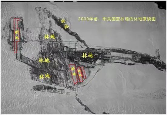 由权威部门制作的卫星遥感影像图片,一张为2000年阳关林场林地原貌图