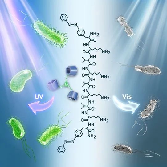 ccschemistry短肽组装体构建光响应智能抗菌剂伪装者对抗细菌耐药性