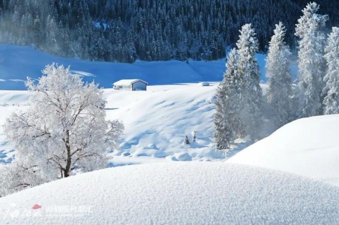 新疆的冬天是什么颜色