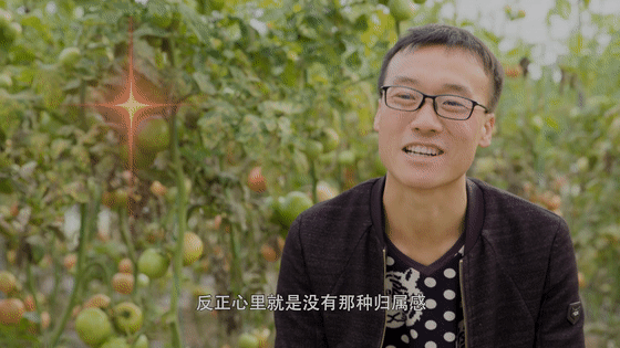 决战西和第六集同心圆梦