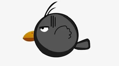 我认识的不是这样的乌鸦