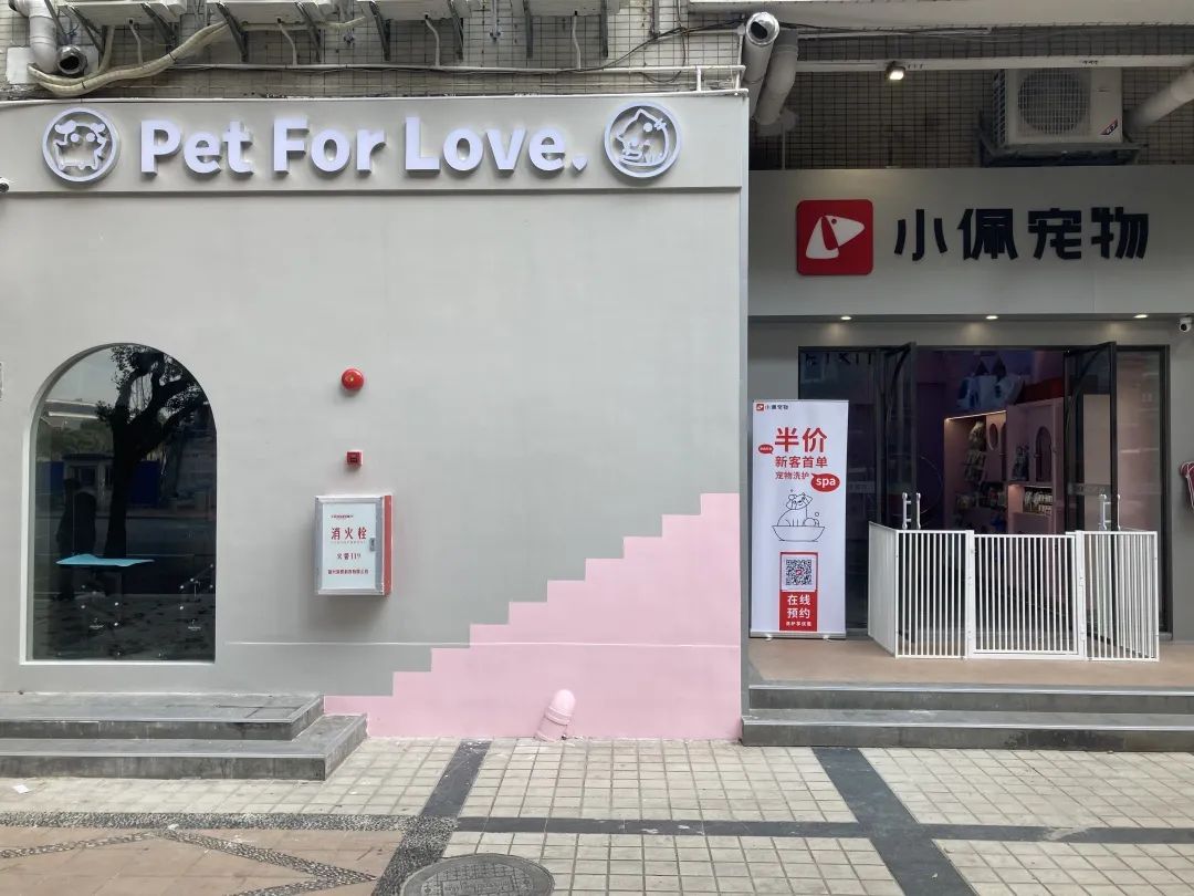 领券叹店1元200元带你揭秘这家新晋网红宠物店爆火的秘密