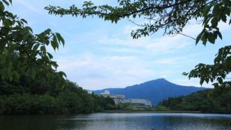 他在京都山里修筑庭院，種菜燒飯，山居滋味究竟哪般？
