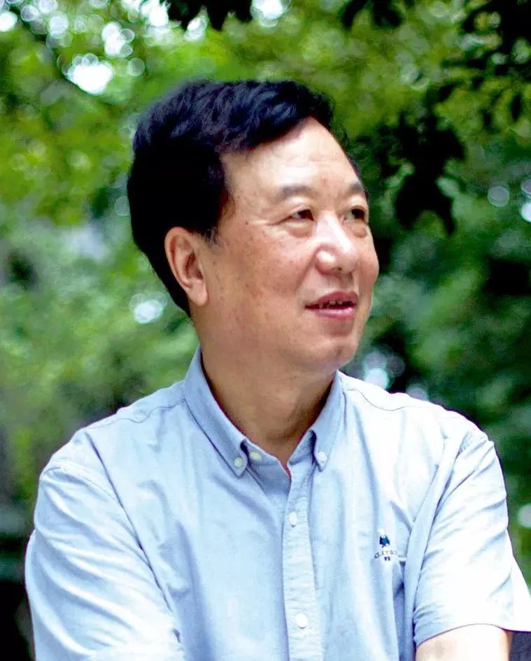 王尧长篇小说民谣有情的方式和历史重返