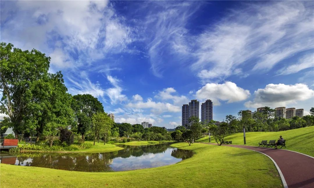 来香蜜公园一起置身幸福花海