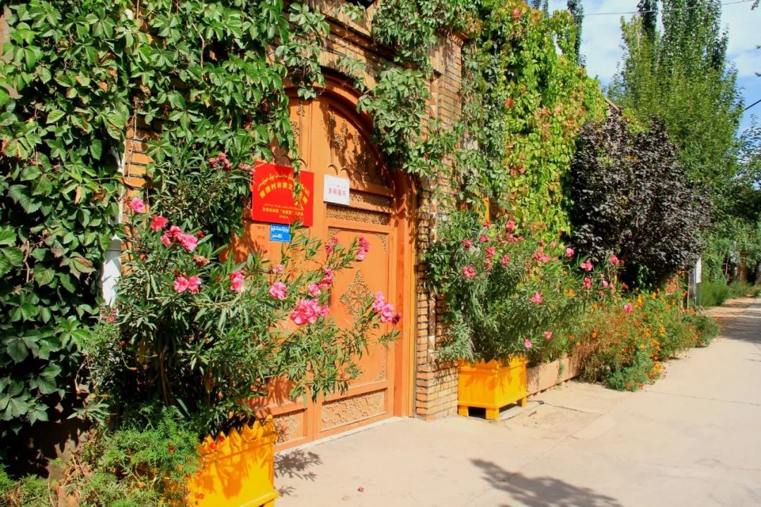 新疆妇联以创建美丽庭院为抓手助力乡村振兴