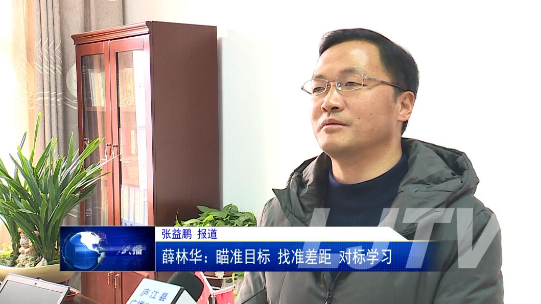 融入大合肥对接沪苏浙罗河镇打造工矿产业新城绿色生态小镇