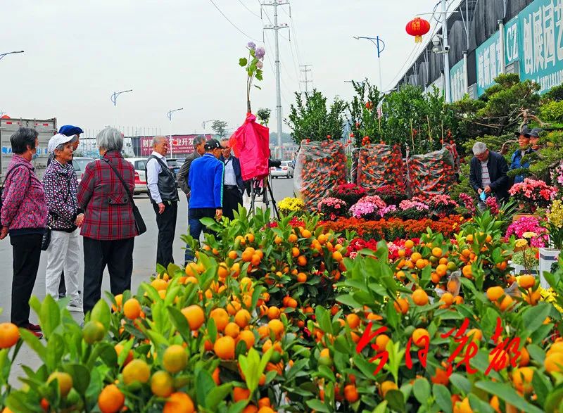 新派商城 线下配送方式,以"2021年花都线上迎春花市"通过线上平台展销