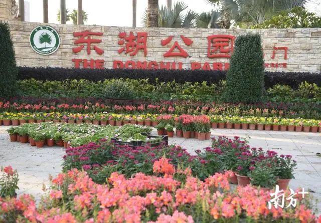 年味儿来了东湖公园新春装扮抢先看