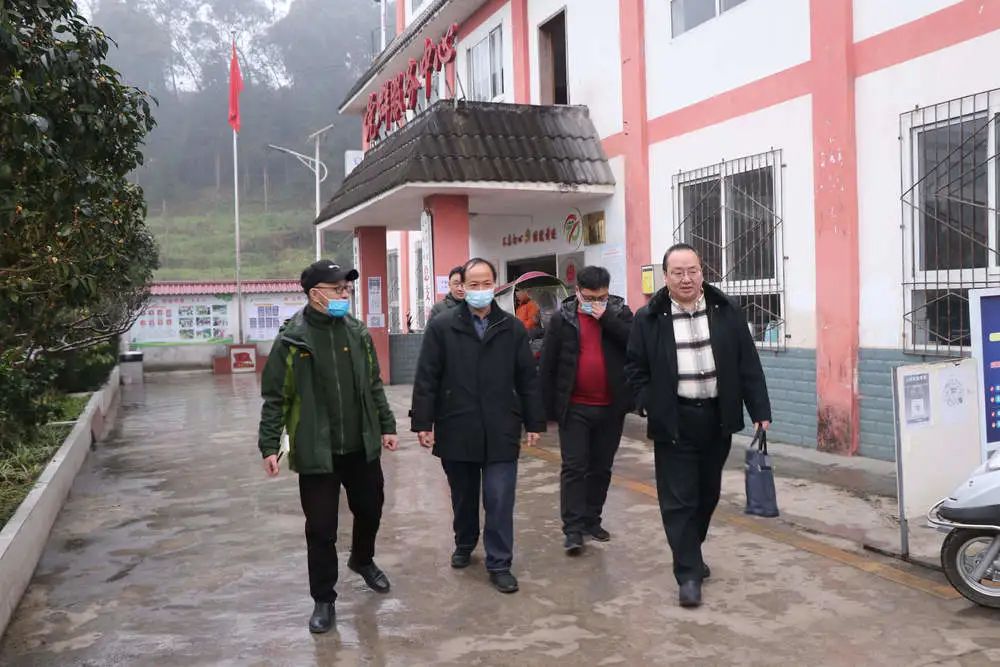 i工作动态i水富法院联合森林公安等单位检查太平镇森林防火工作