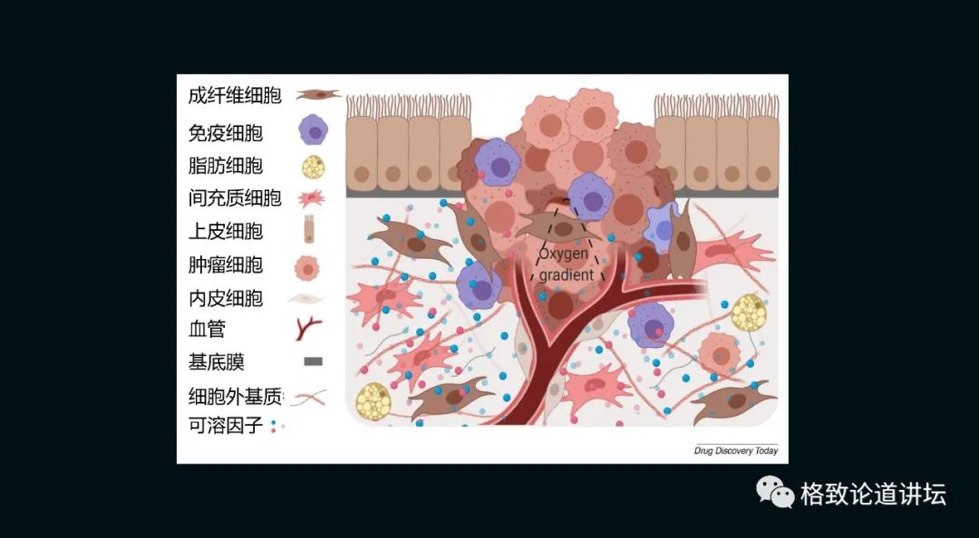 这就是肿瘤生长的一个环境.