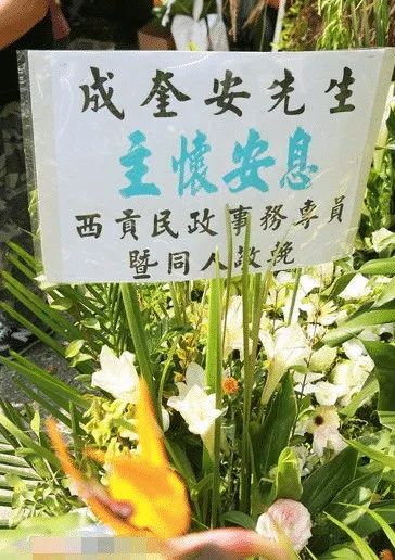 成奎安:面恶心善,重情重义,却没有得到好的结局