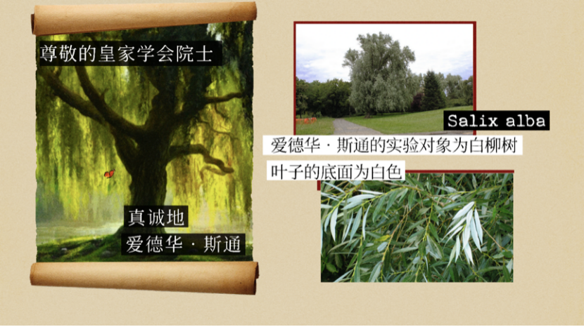 毒品,战争,纳粹,阿司匹林的暗黑往事