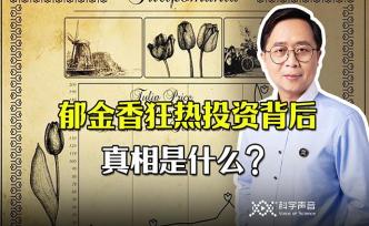 一朵小花真能摧毁一个大国吗？荷兰郁金香狂热的历史真相