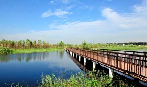 今天是第25个世界湿地日,关于郑州的湿地你了解多少?