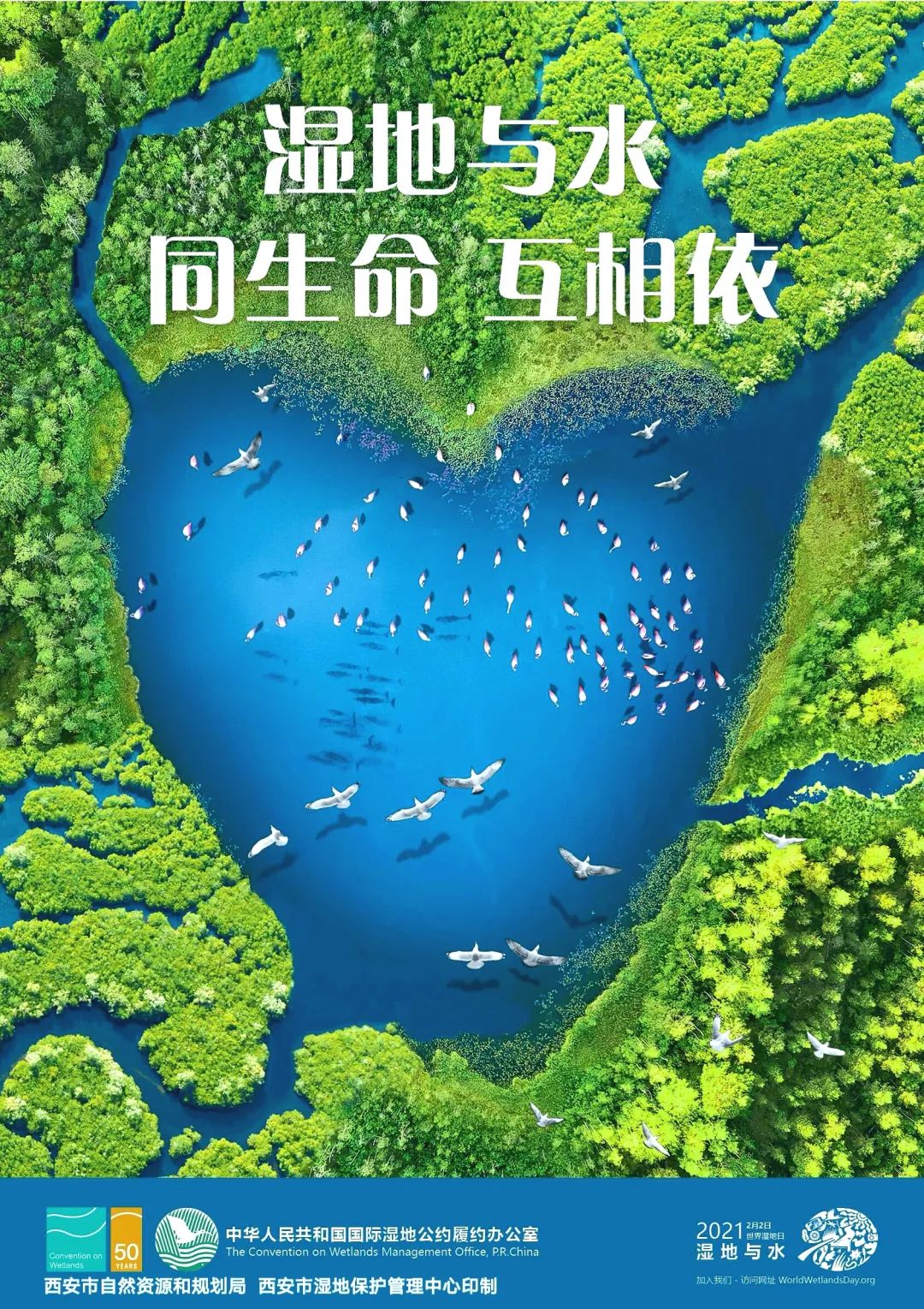 世界湿地日丨让我们共同保护地球之肾