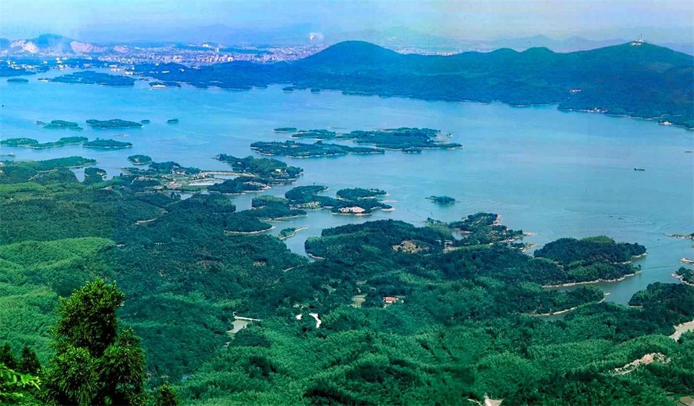 大溪国家湿地公园通城县四庄乡大溪国家湿地公园位于幕阜山北麓的通城