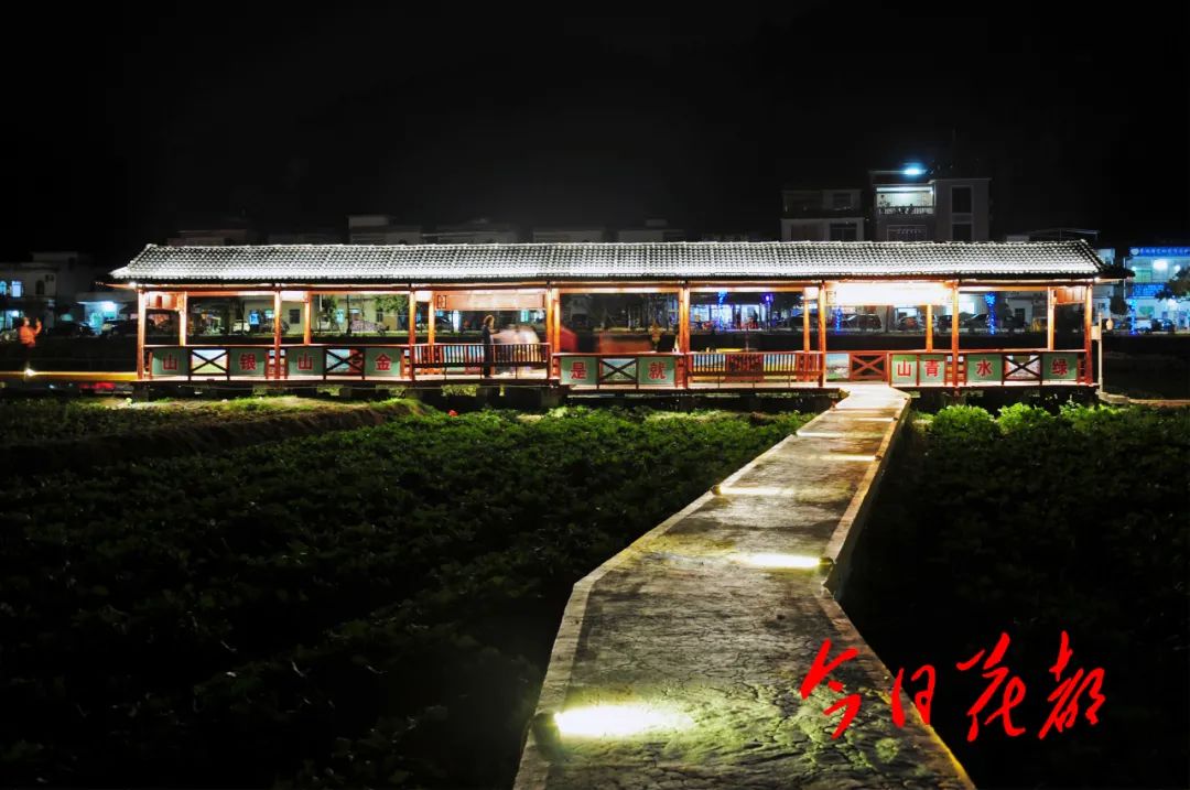 亮灯了花都红山村夜景大片美如画