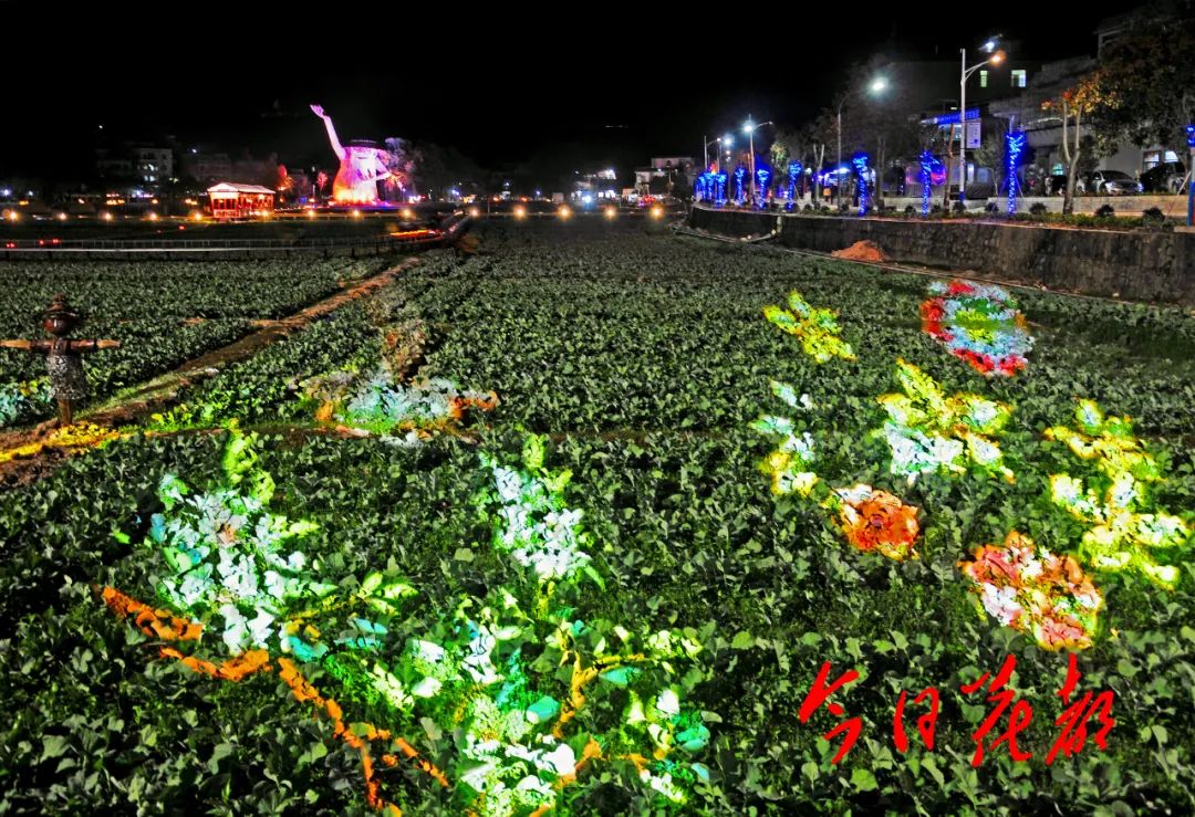 起灯光,美不胜收,文化长廊,稻草人,情人堤等地游客服务中心,红山牌楼