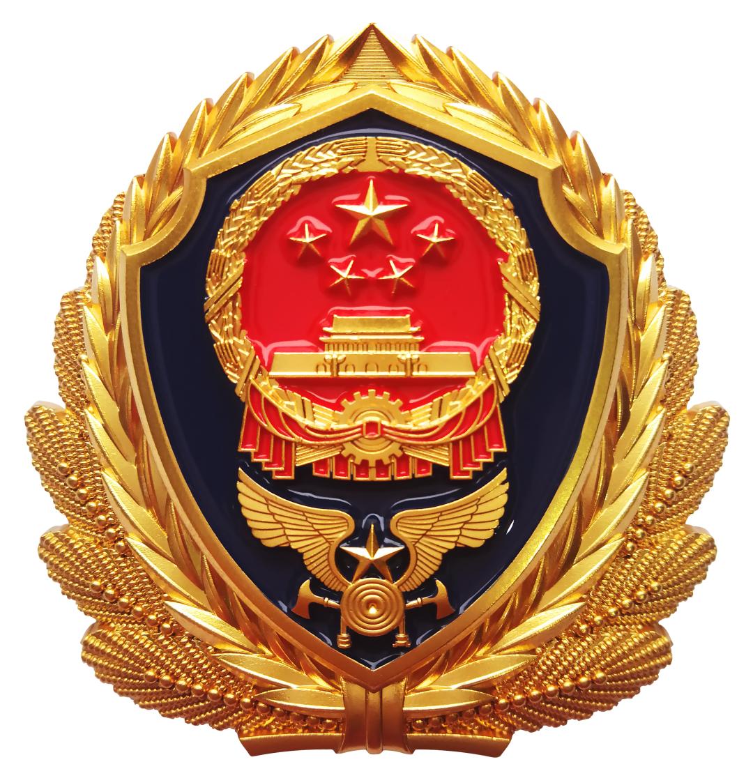 中国消防救援帽徽图片
