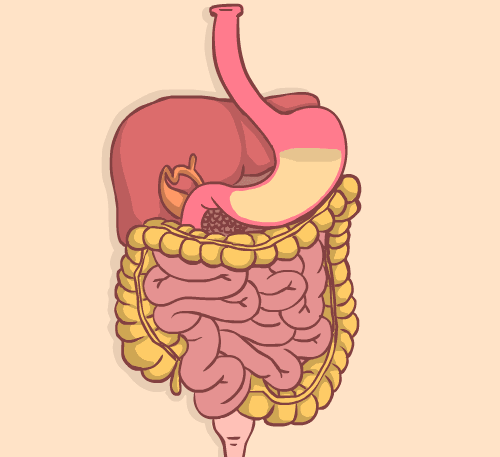 肠胃蠕动卡通图片