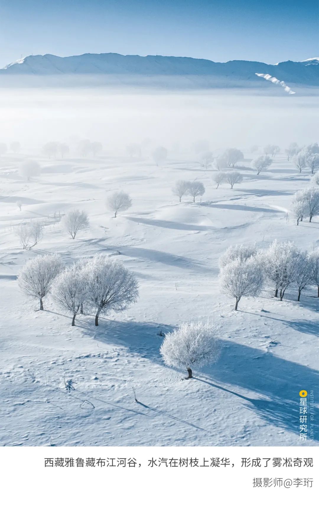 地区冬日里意味着纯洁无瑕白不同颜色的风景记录冬天让我们用6种色彩