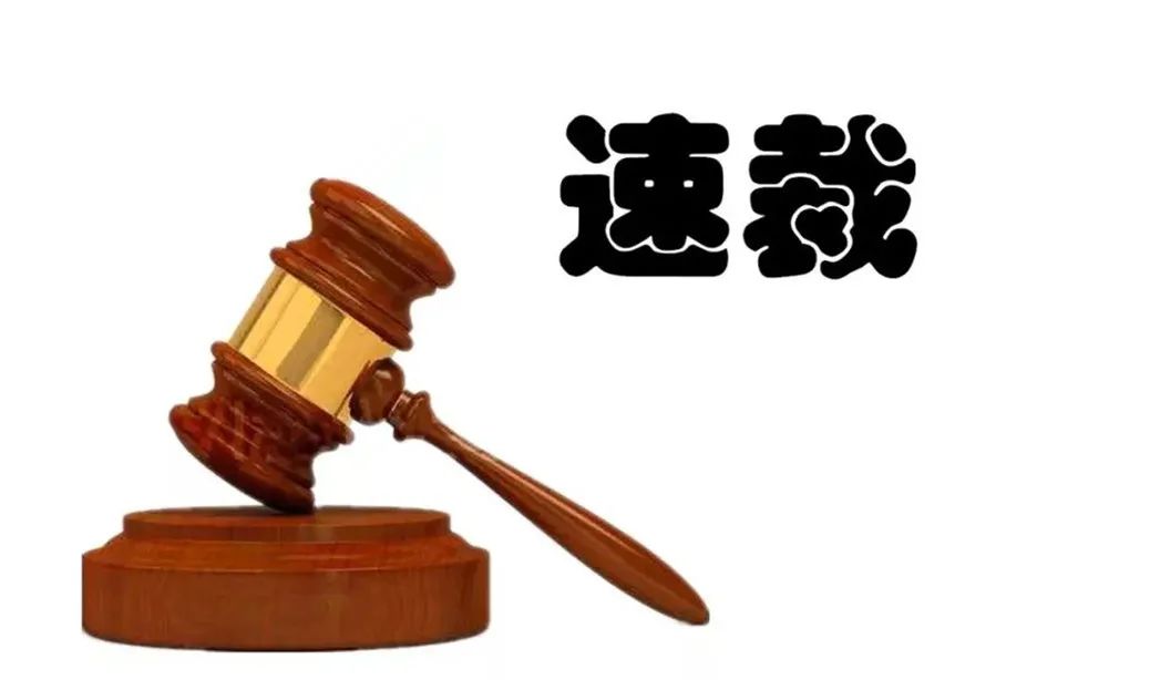 博兴法院启用刑事速裁案件 表格式 裁判文书
