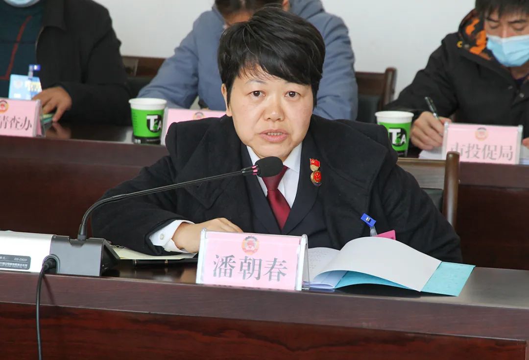 委员李艳,线小卖,岳玉鑫,杨正国,黄嘉就加大对涉众型经济犯罪案件打击