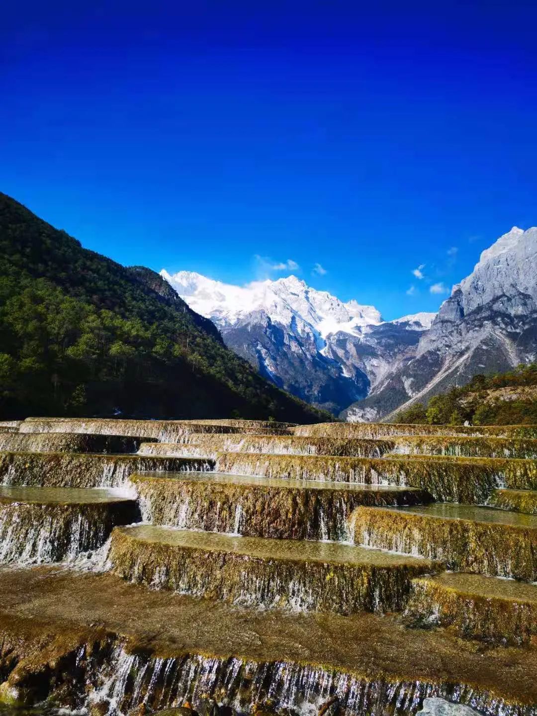 嗨，春节欢迎来玉龙雪山！这6条旅游攻略请收下-第1张图片-海南百花岭热带雨林文化旅游区