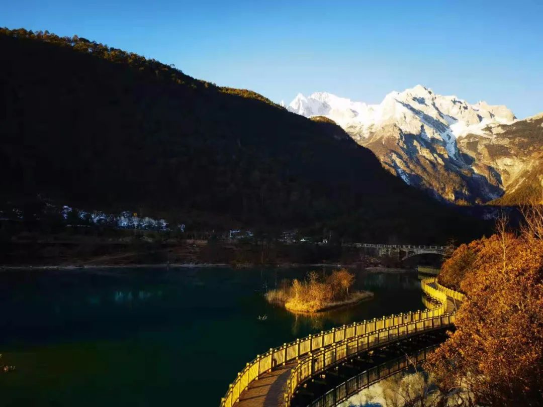 森林氧吧之旅:甘海子游客中心—雲杉坪—藍月谷—印象麗江;高山草甸之