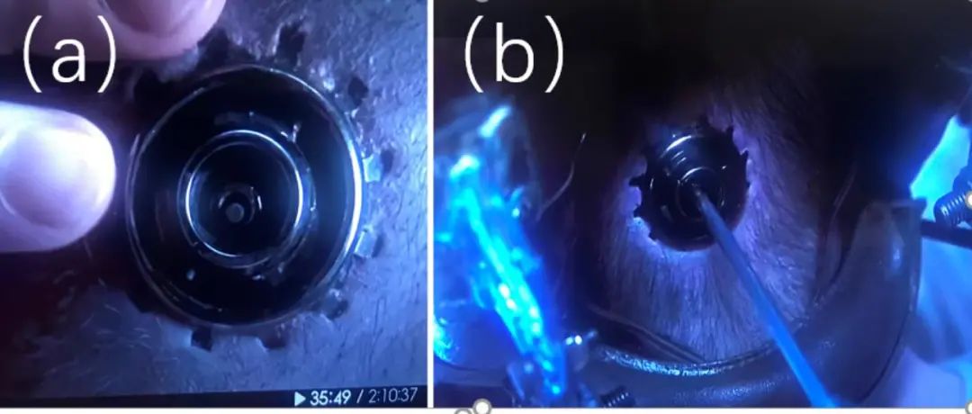 系列科幻片《黑客帝国》中,我们看到在后脑两耳中间颈部锚定一个金属