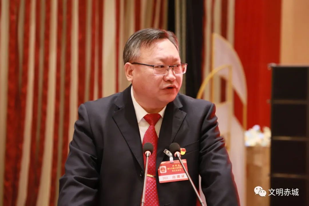 受县政府委托,县委常委,常务副县长戈撬珍作赤城县2020年民生实事项目