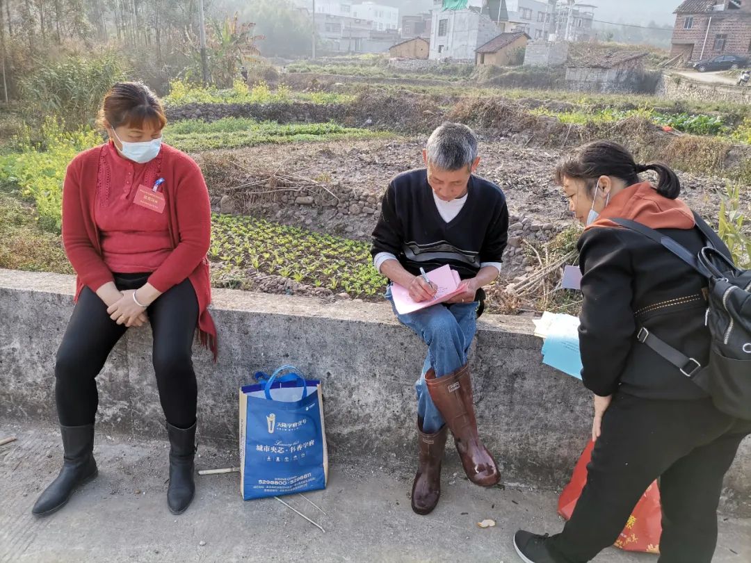 桐岭镇圆满完成村两委换届选举工作全部实现一肩挑