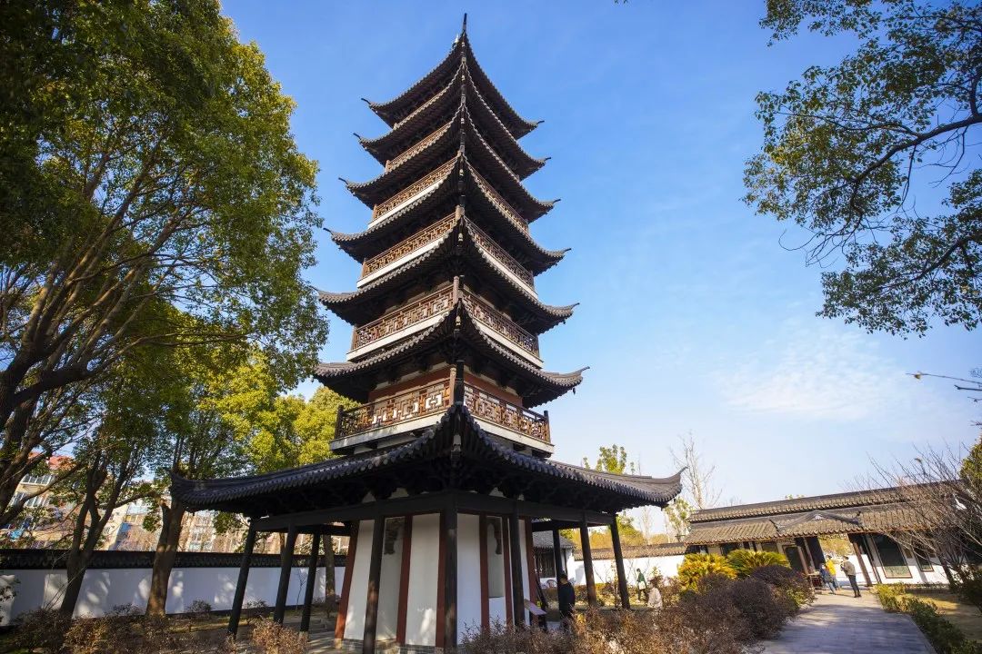 初春游记时光里的青溪园温暖而纯粹