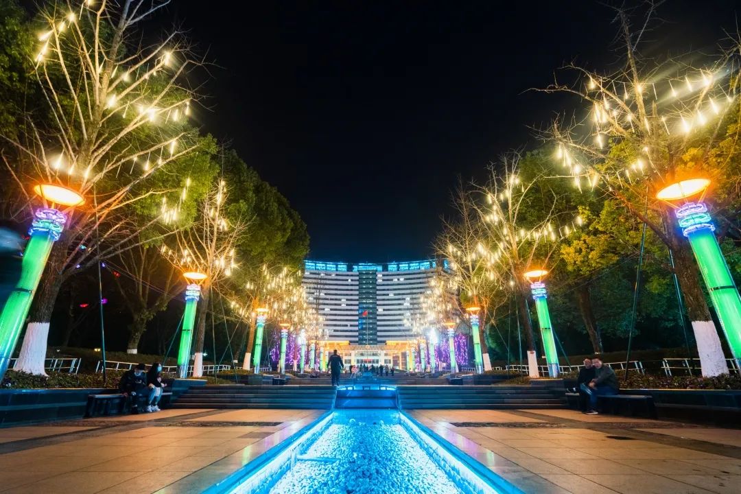 璀璨夜景上线丽水过年美美哒