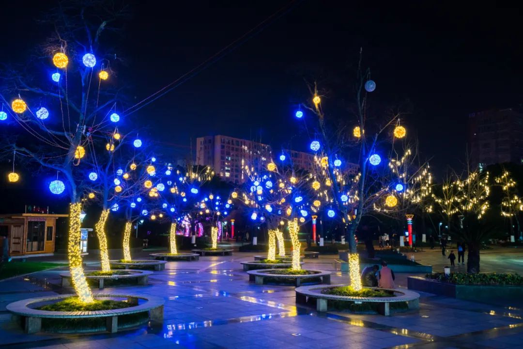 璀璨夜景上线丽水过年美美哒