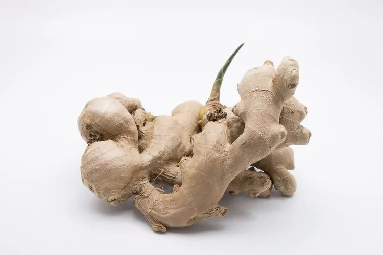 晚上吃姜胜似砒霜生姜能防脱发多年的争议终于有答案了