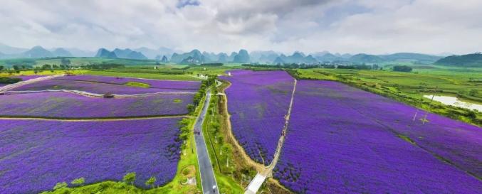 来宾旅游景点(来宾有什么好玩的景点旅游)