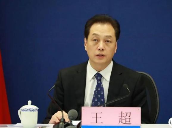 王超:民间外交助力构建人类命运共同体