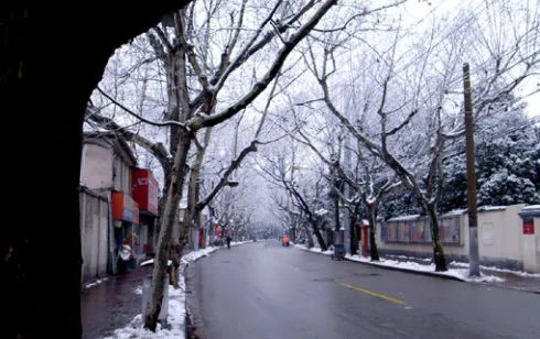 上海冬天里的美食 湃客 澎湃新闻 The Paper