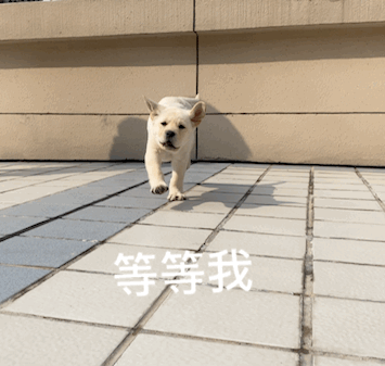 太美了春暖花开快来东莞赏花附攻略
