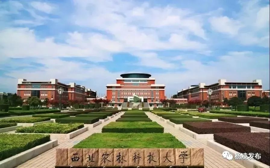 杨凌突破关键核心技术做强农业芯片