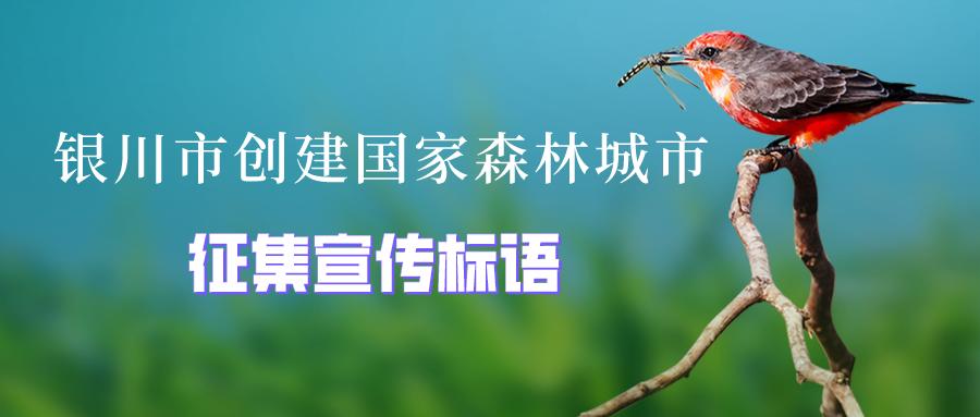 最高獎勵2000元銀川市徵集67創建國家森林城市宣傳標語