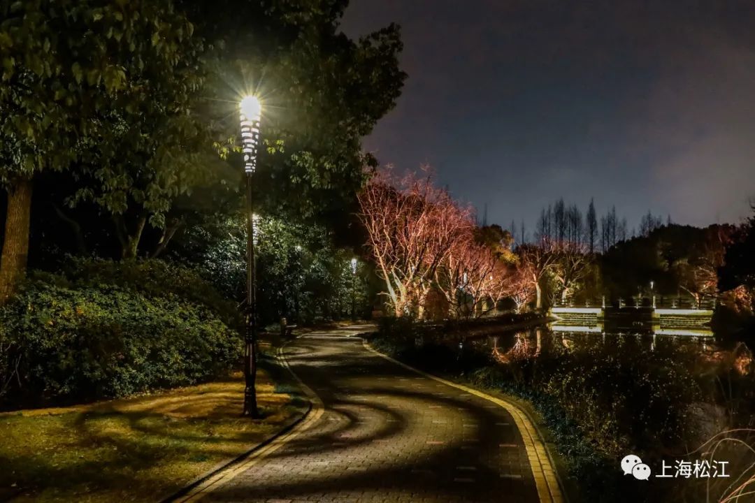 思贤公园绚丽灯光上线松江夜景打卡添新地标