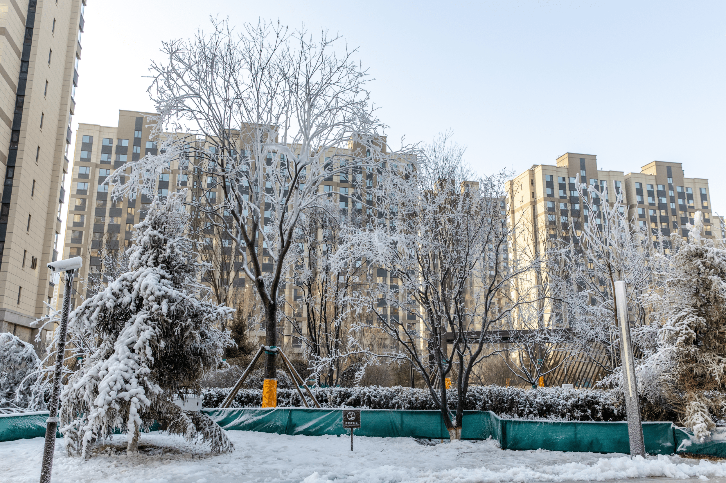 城市小区雪景图片大全图片