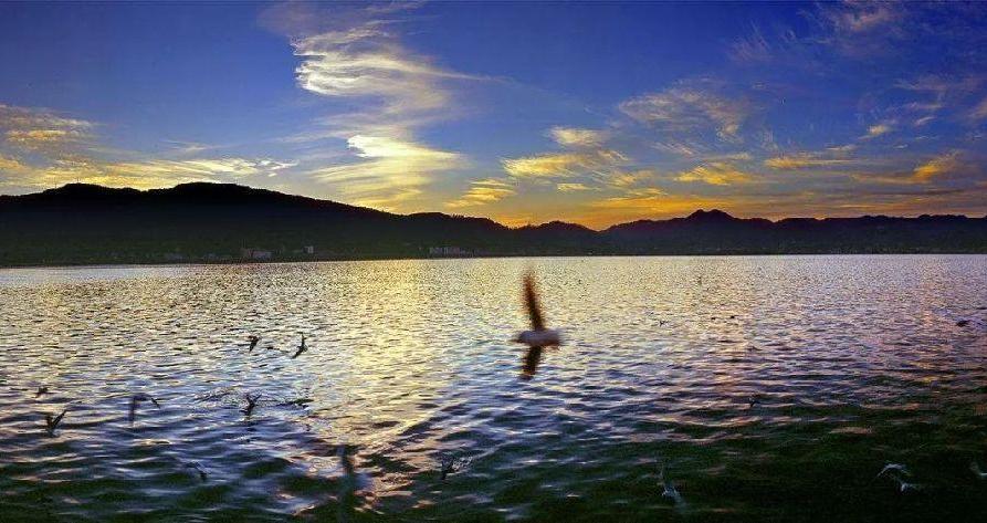 阳宗海擦亮生态底色守护一泓碧水