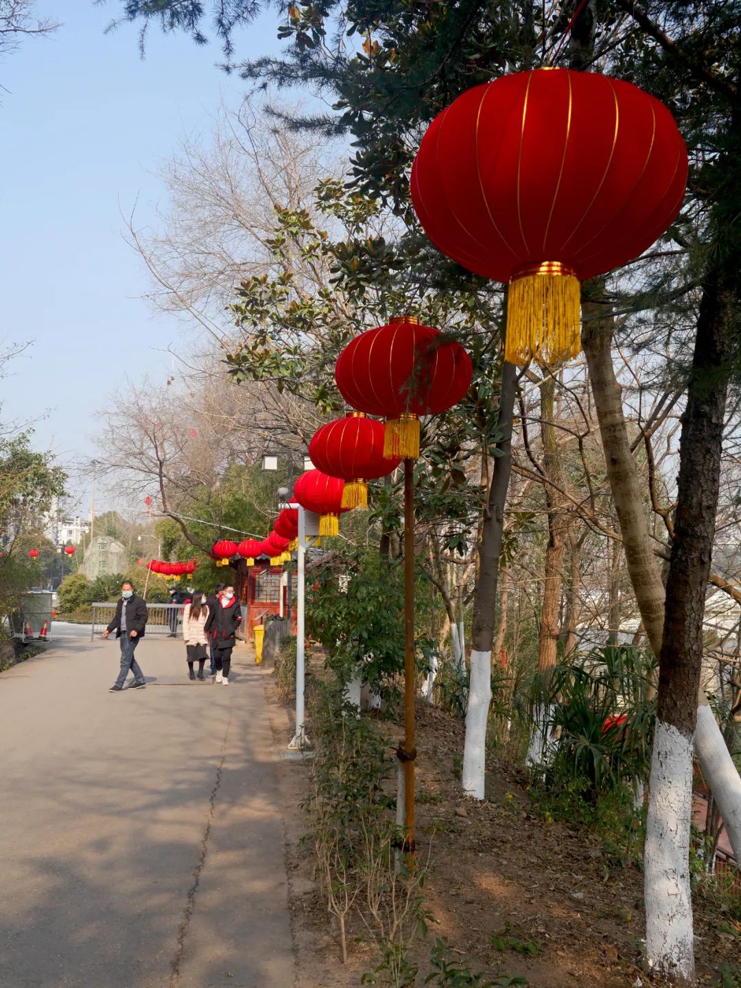 过年啦广元大街小巷美到爆