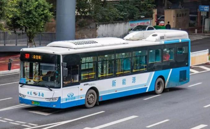 供大家暢通直達景區,公園還會增開臨時直達專線公交線路將加密各大